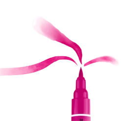 Carioci tip pensula & waterbrush