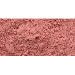 Pigmenti pictura Sennelier - Cad. Red Purple subst. 100  gr.