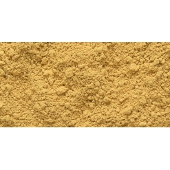 Pigmenti pictura Sennelier - yell. Ochre 80  gr.